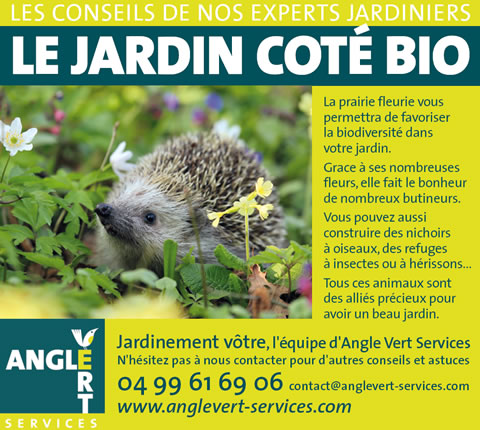 Un jardin côté bio